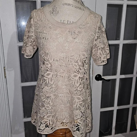 Wilfred Aritzia Womens Tan Embroidered Crochet‎ Top Small - Picture 1 of 5